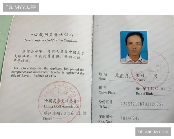 裁判尺度在足球规则中的判罚标准与执行细节解析